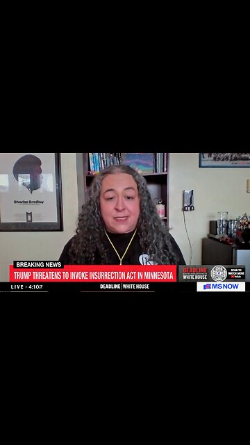 Minnesota Rep Calls ICE An "Invasion" Of "Secret Police"