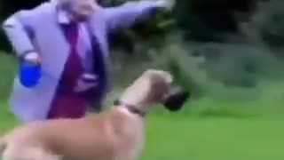 Dogs walking people. Oof!