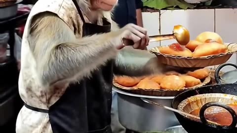 Monkey Chef