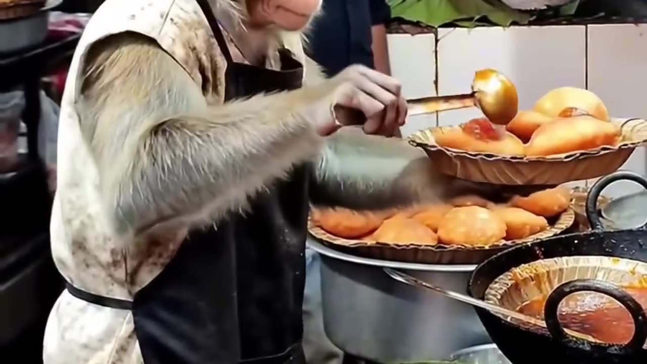 Monkey Chef