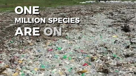 🌍💔 "They're Dying Because of Us... Will You Help? 🐾🌿