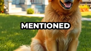 Engaging & Inspiring/Funny Video 10/30/2025