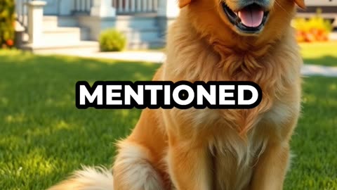 Engaging & Inspiring/Funny Video 10/30/2025