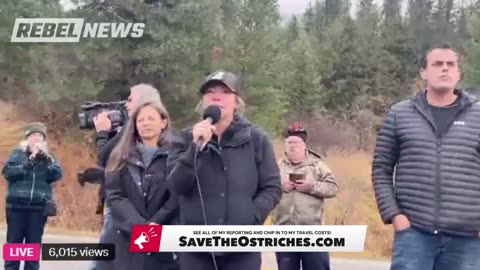 BREAKING: Supreme Court greenlights CFIA’s mass killing of healthy ostriches