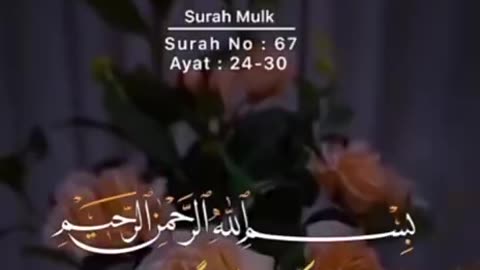 Beshak 💯♥️✨🕊️