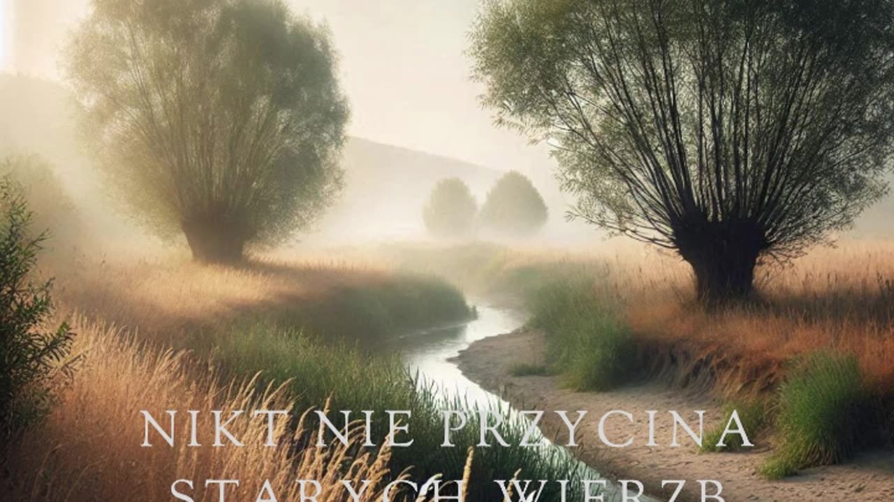 Nikt nie przycina starych wierzb