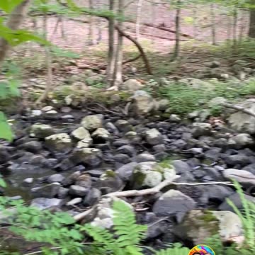 ALUMINUM LADDER BRIDGE!