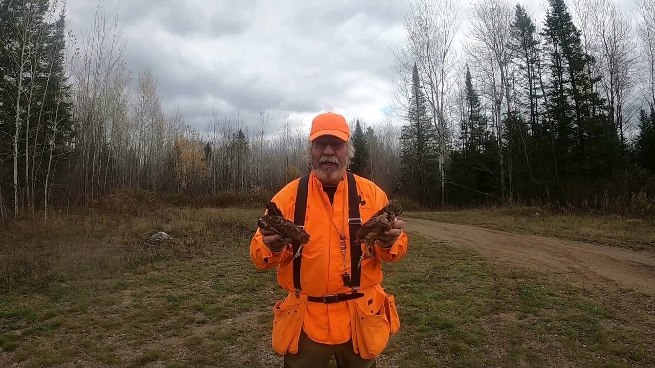 Wisconsin 2021 Grouse Hunting with Lucy Episode 9