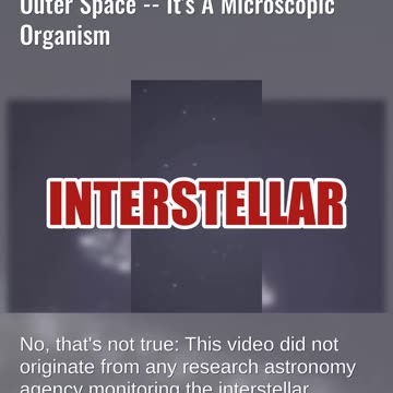 Fact Check: Video Does NOT Show Interstellar Comet 3I/ATLAS In Outer Space -- Microscopic Organism
