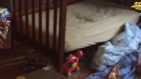 Von Heltons Neglect of his children