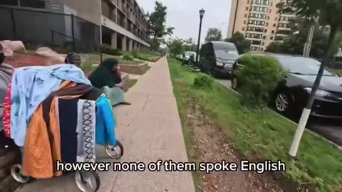 Nick Shirley tried talking to Somalians in Minnesota