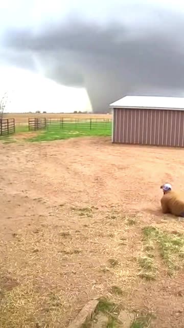 Tornado LIFTS Man On Open Farm #cctvfootage #securitycamera #tornado