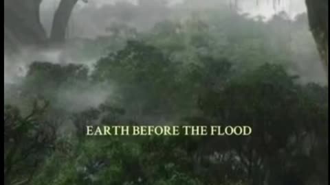 Giant Trees, and the Great Flood...is this the reason?