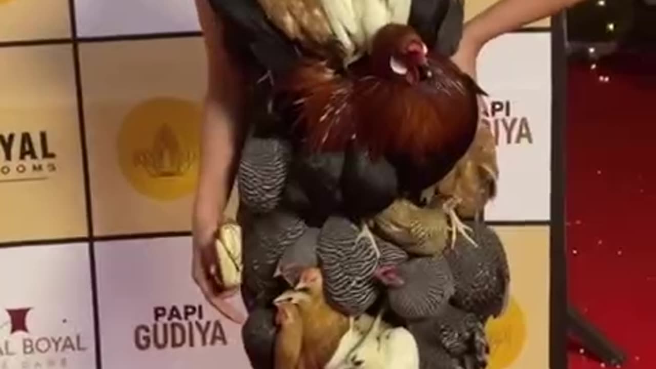 What the hell is going here.