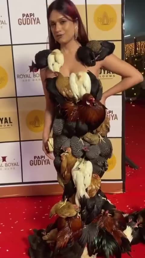 What the hell is going here.