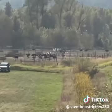 15 billions tax dollars has been paid to CFIA and RCMP in 30 days to cover CFIAs criminal activity