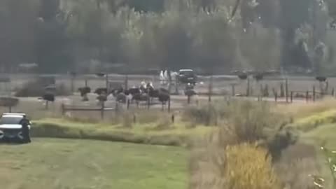 15 billions tax dollars has been paid to CFIA and RCMP in 30 days to cover CFIAs criminal activity