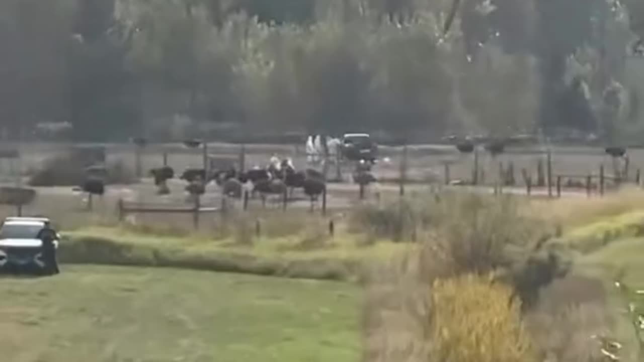 15 billions tax dollars has been paid to CFIA and RCMP in 30 days to cover CFIAs criminal activity