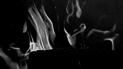 FUATH - Prophecies (Official Music Video)