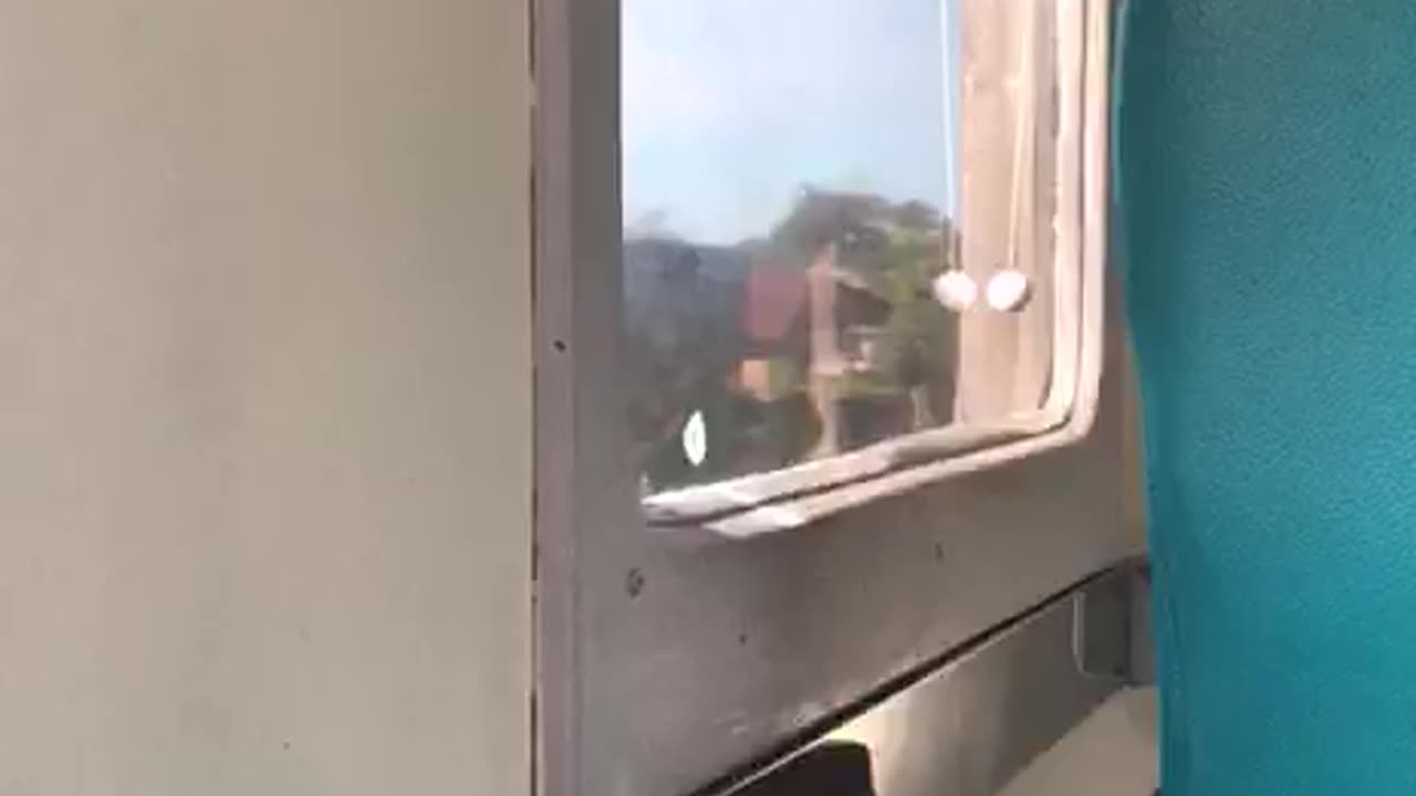 Scenic Train Ride Enjoying the View from the Window