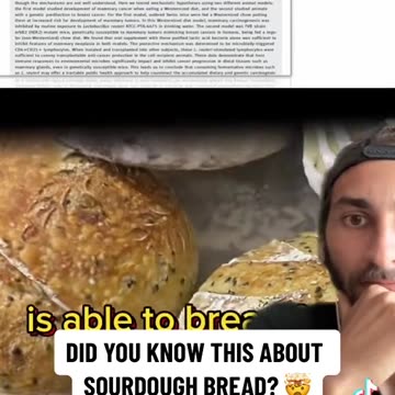 Did you know this about sourdough bread?