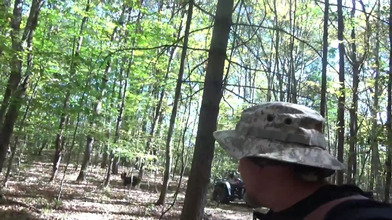 WAIGS Returns