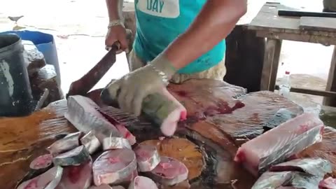 Huge King Fish Cutting _ Seer Fish Cutting Sri Lanka