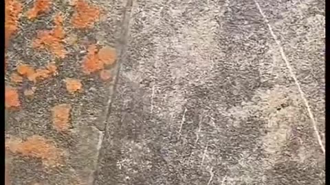 誰が、どうやって、なぜ？