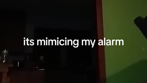 👻🤖 Creepy Mimic Caught Copying Alarm! Watch Until the End | TheHauntingHour