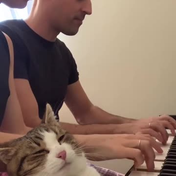 Enjoying some piano music