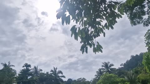 Snorkelling vlog in Thailand!🐠