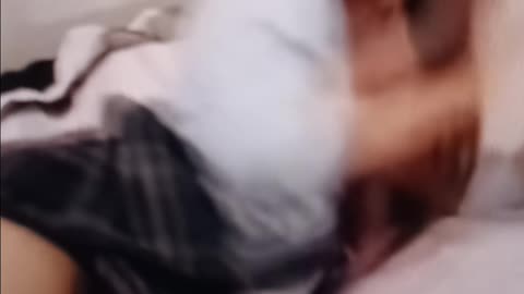 Streamer girl brain rot