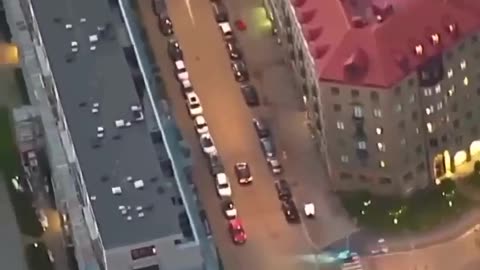 🤯🚨 You Won't Believe This Wild Chase! | FeedMyCuriosity