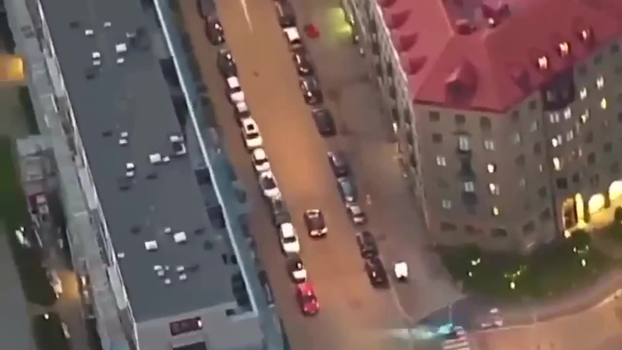 🤯🚨 You Won't Believe This Wild Chase! | FeedMyCuriosity
