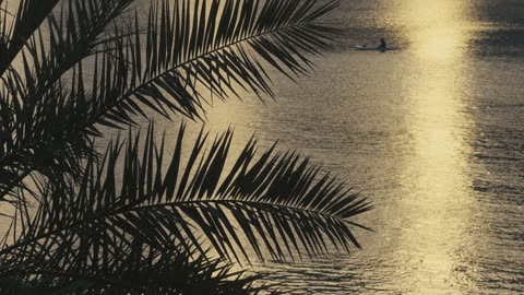 "It is during our darkest moments that we must focus to see the light."