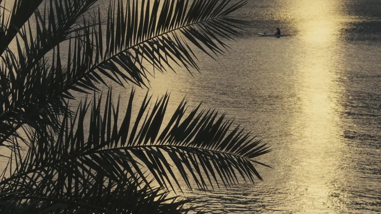 "It is during our darkest moments that we must focus to see the light."