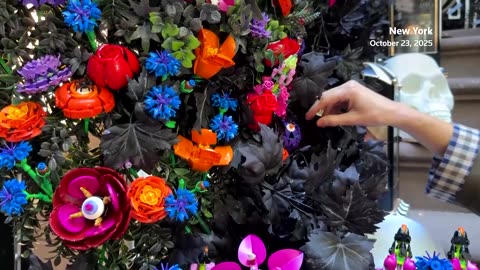 Halloween events around the world this week