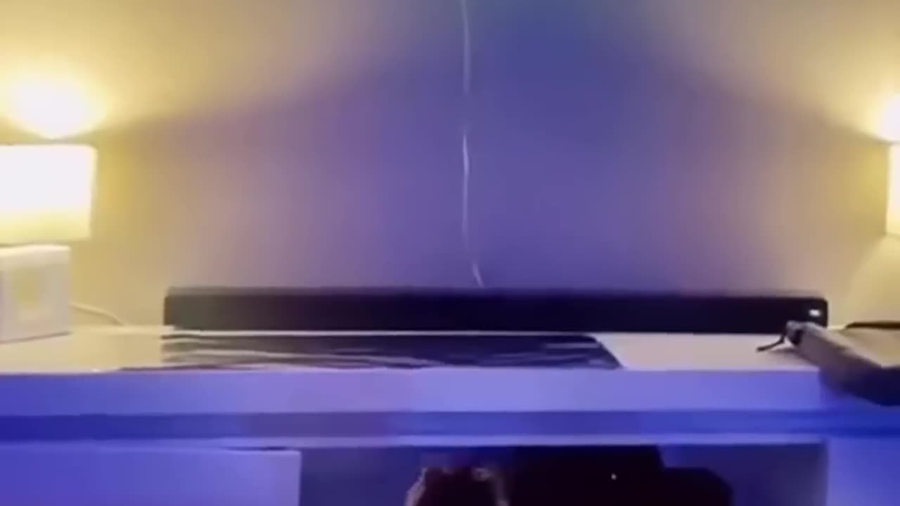 Funny cats FOIL prank 😂