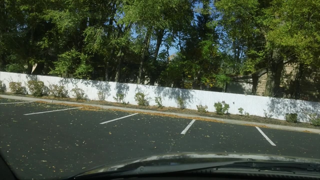 Apocalypse Chronicles