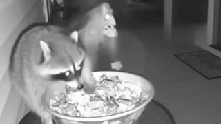 😂🎭 Wait For The Masked Bandit's Epic Move! | FunFM