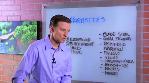 Parasite Cleansing Guide