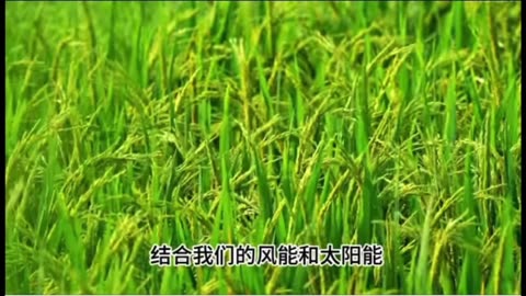 Eight top Western investment figures visited China