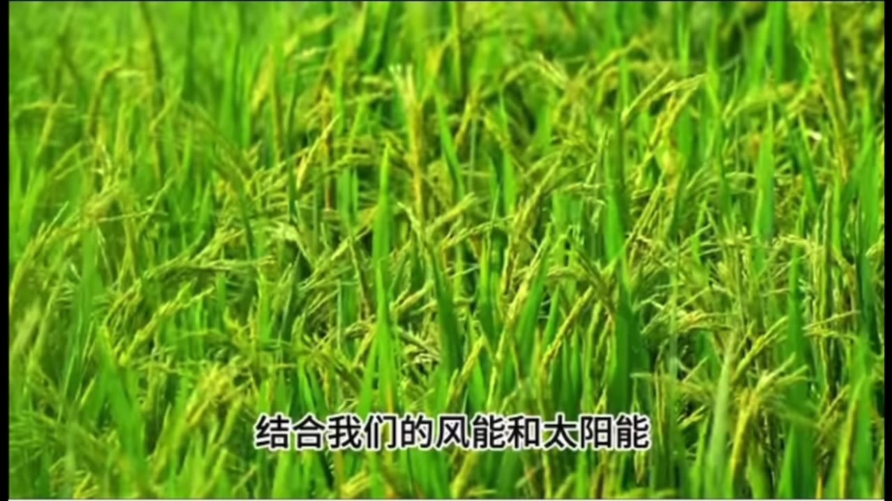 Eight top Western investment figures visited China