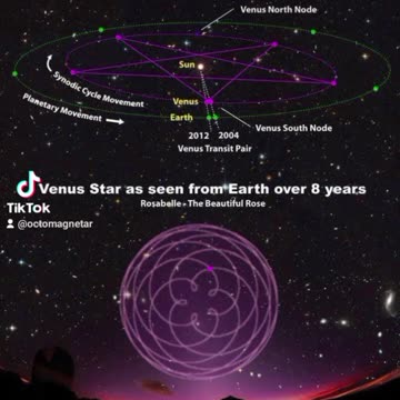 THE LOST GOLDEN EGGS