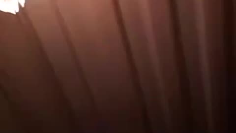 Agent "ATESH" disabled a communications facility in the Belgorod Region