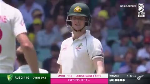 Cricket Sports Entertainment