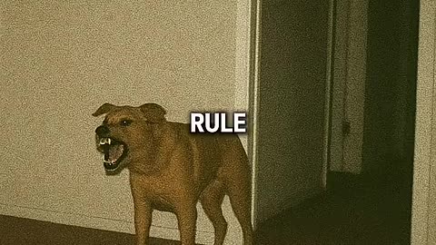 Shocking: Don’t Ignore Your Dog At Midnight #scary #shorts #creepy
