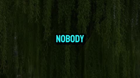 I DON'T CARE TO MAKE YOU BELIEVE THAT I'M A GREAT PERSON-Motivational Lines
