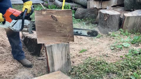 STIHL MS661C and MS441C post tune up cuts