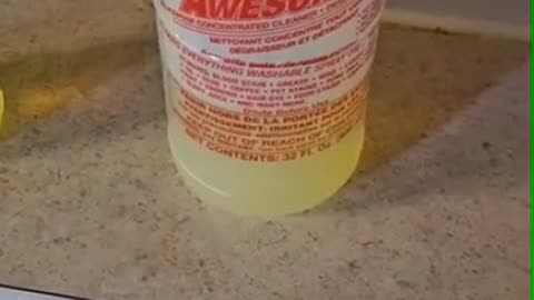 dish cleaning device